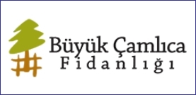 B&uuml;y&uuml;k &Ccedil;amlÄ±ca FidanlÄ±ÄÄ±